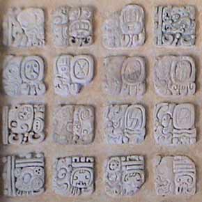 Codex Maya Codex Maya